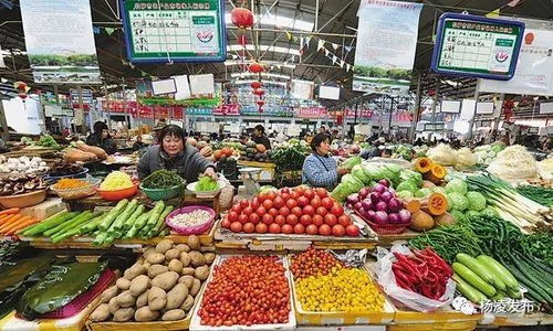 戰(zhàn)疫情穩(wěn)民生 楊凌多措并舉保障日用品批發(fā)市場供應(yīng)